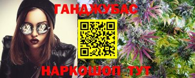 шишки Тулун