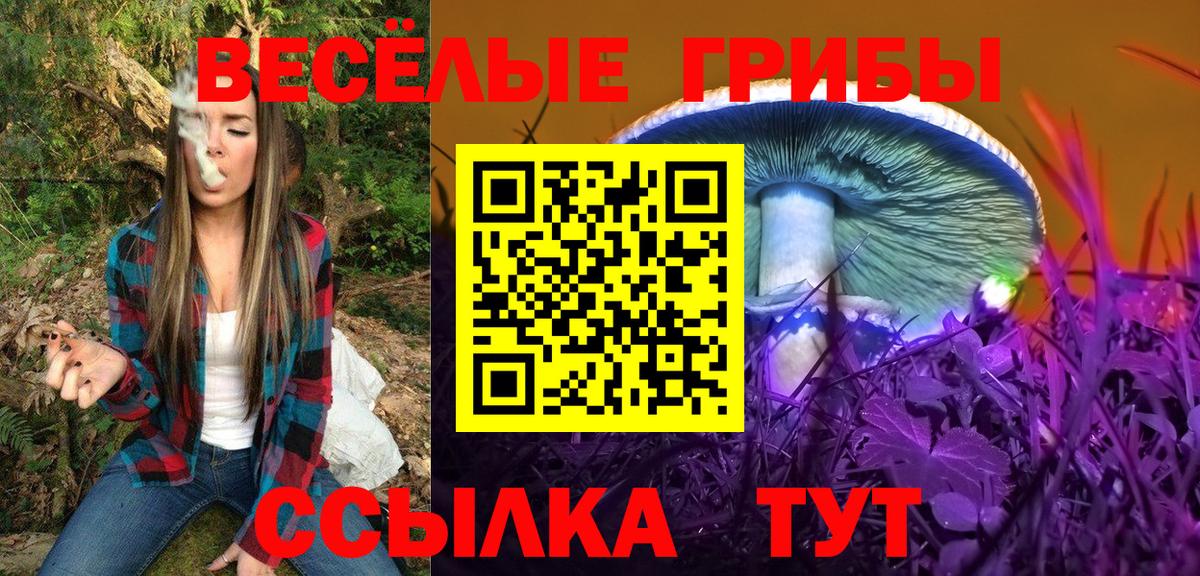 Галлюциногенные грибы Magic Shrooms  Галлюциногенные грибы Psilocybe  Нижнеудинск  Вход с VPN 