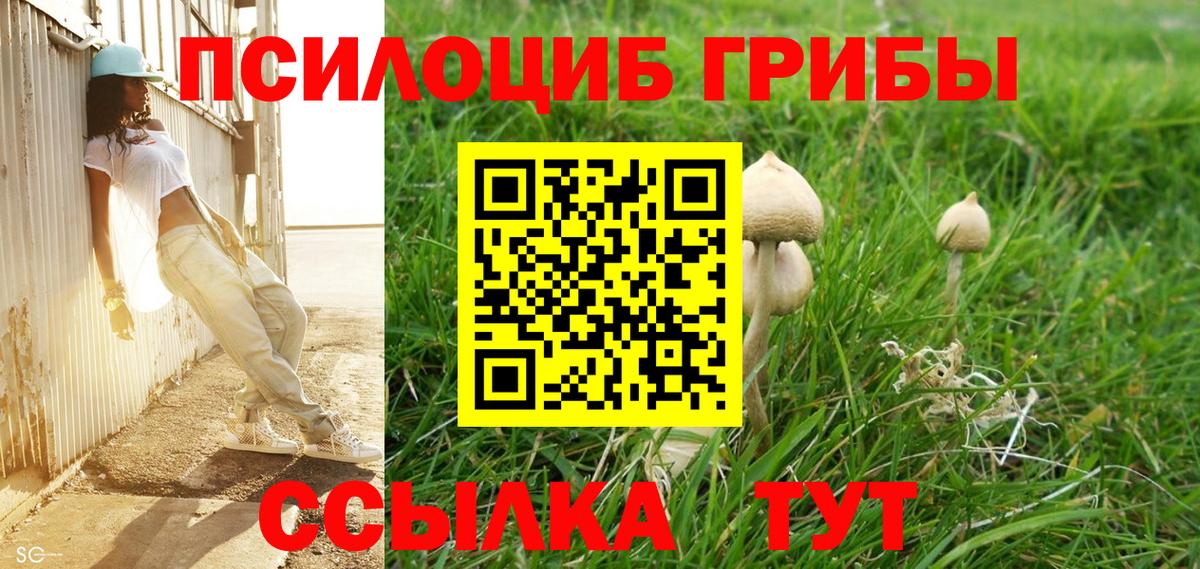 Псилоцибиновые грибы ЛСД Нижнеудинск